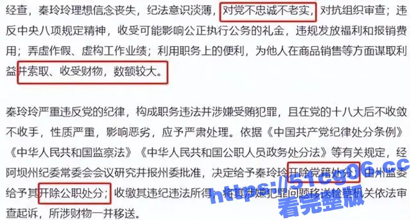 美女副县长秦玲玲 为升官沦为高官玩物 长相甜美升得急跌得快 只有中学学历却上位神速 图10