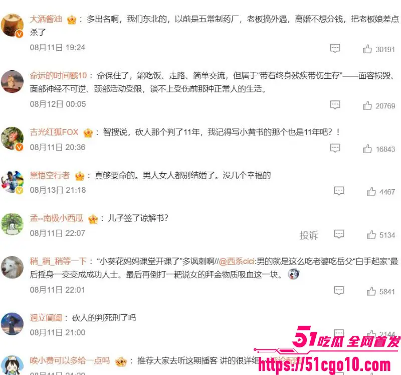 葵花药业 关彦斌 出轨女秘书生龙凤胎 杀妻未遂获刑11年 豪门恩怨分崩离析！ 图30