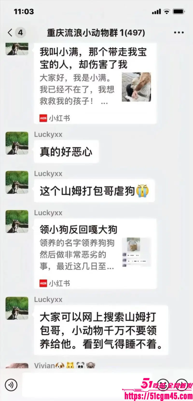 重庆山姆打包哥 李萌 领养小狗残忍虐杀致死 夫妻剪牙断尾骨折抛尸丧心病狂! 图15