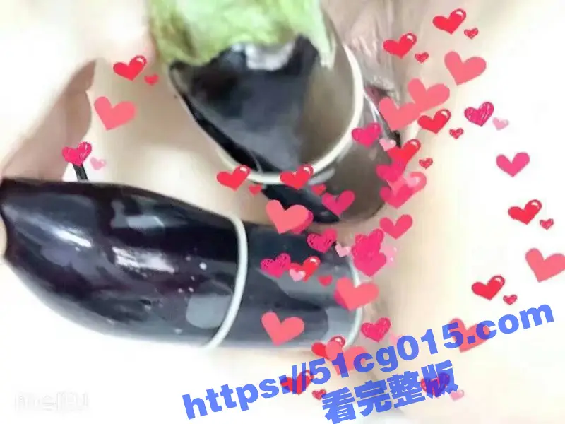 妇女之宝 茄子 的正确使用方法！注意一定要科学使用 否则很容易取不出来！ 图2