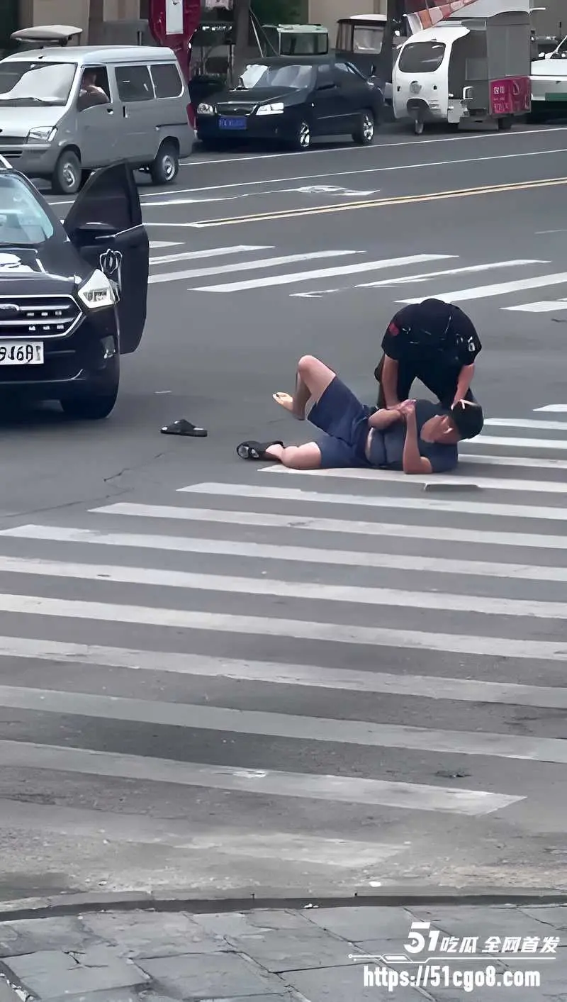 河南郑州男子无故砸车 砸完一条街后竟向特警车辆扔石头 被当场按倒疯狂抵抗 图3