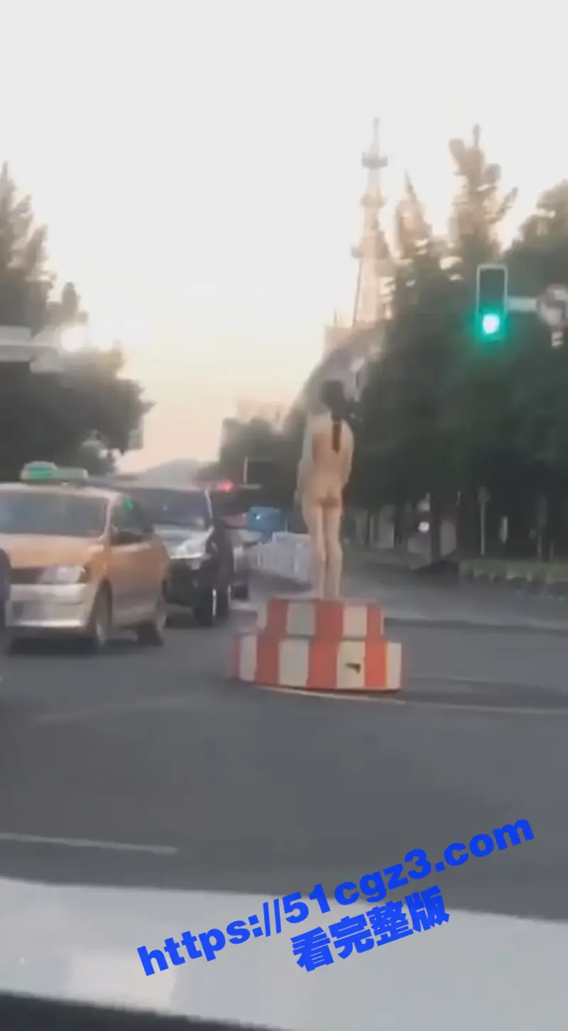辽宁沈阳大马路上惊现裸女 站交警台上指挥交通 全裸露出疑似主人任务 大冬天的不冷吗姐妹 图3