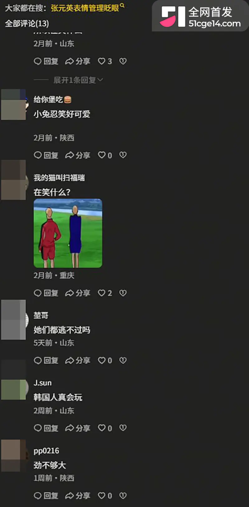 韩国第一狗仔Adwan爆大猛料 12位女星塞跳蛋开演唱会 被财阀远程遥控 1372人调教名单震惊世界 图14