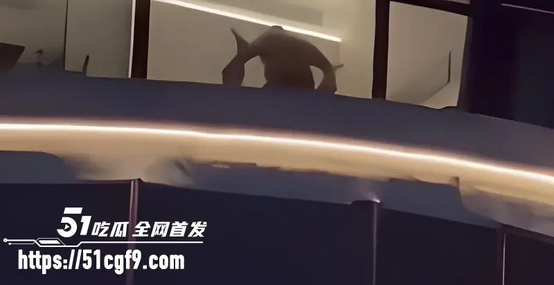 巴马归朴酒店惊现香艳一幕 情侣落地窗前做爱引人围观 美腿大开任由炮友猛攻 图6