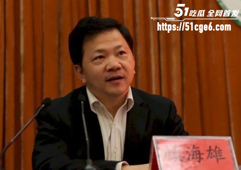 顶流女星 佟丽娅 再婚绯闻爆火 前夫陈思诚介绍神秘高官 国外生子换来泼天富贵! 图9