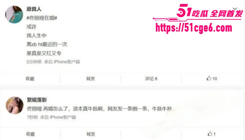 顶流女星 佟丽娅 再婚绯闻爆火 前夫陈思诚介绍神秘高官 国外生子换来泼天富贵! 图17