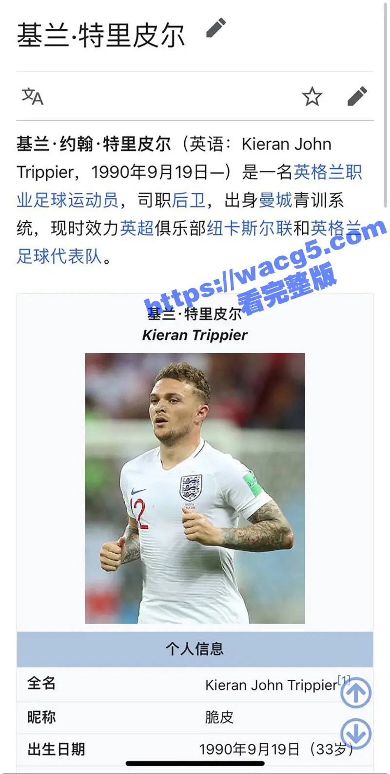 英超足球队员 特里皮尔婚内出轨 带情人回家被其老婆发现 并曝光4分27秒做爱视频! 图1