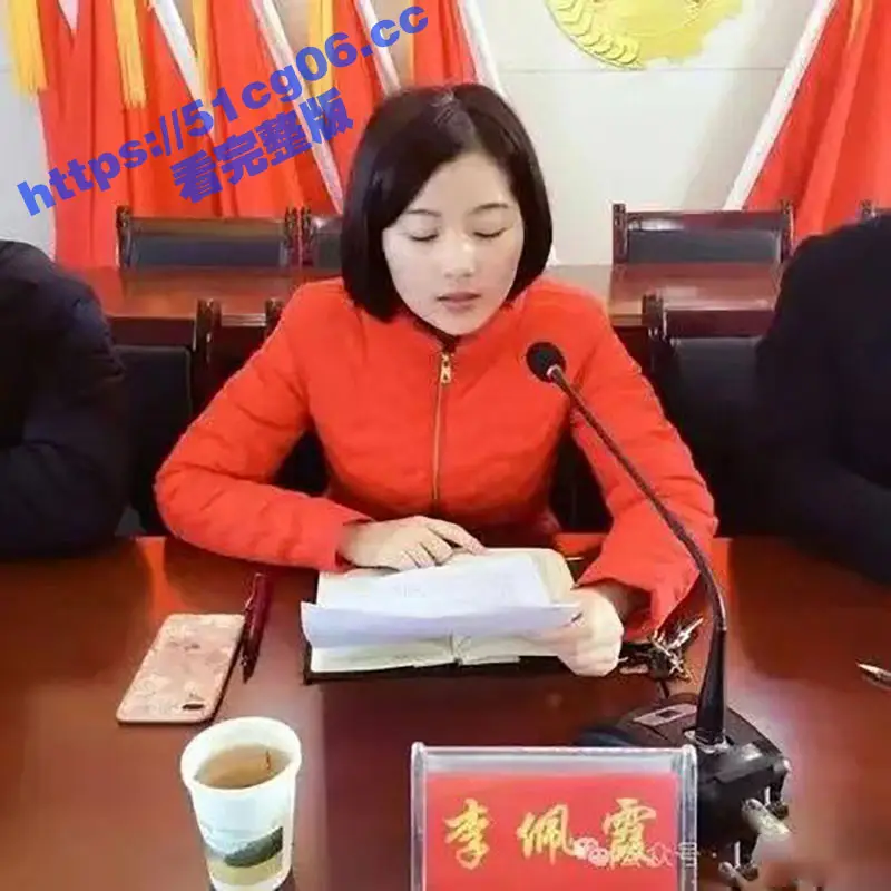 江西县委书记毛奇遭举报性侵 受害美女乡官李佩霞反遭带走留罪证USB「保命」有片 图21