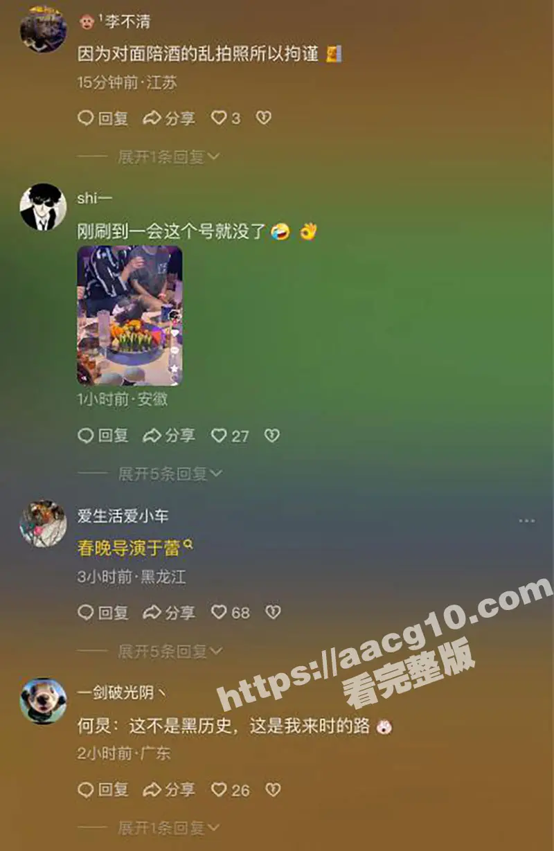 中国人自己的萝莉岛！何炅KTV酒局视频曝光 酒局当男模陪春晚总导演于蕾 富婆快乐球疯狂刷何炅的小鸡鸡 图11