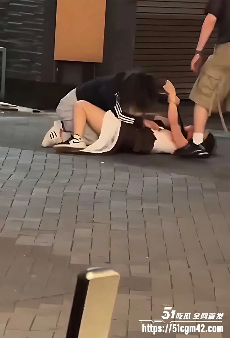 日本街拍两美女激斗互殴 白衣美女骑身狂锤 被重拳偷袭正脸KO 图5