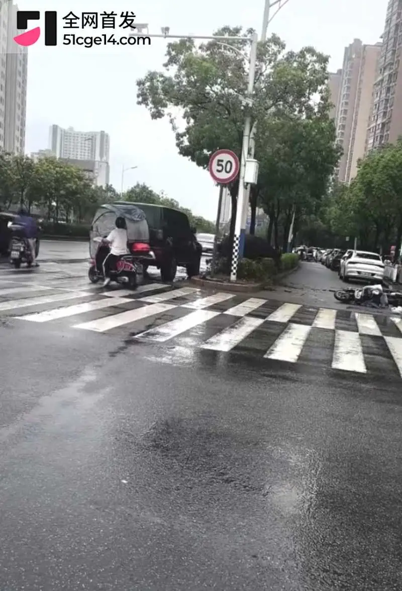 福建宁德突发疯牛狂奔事件 多车被撞受损 全网玩梗铁扇公主跟猴哥私奔 气疯绿帽牛魔王 图5