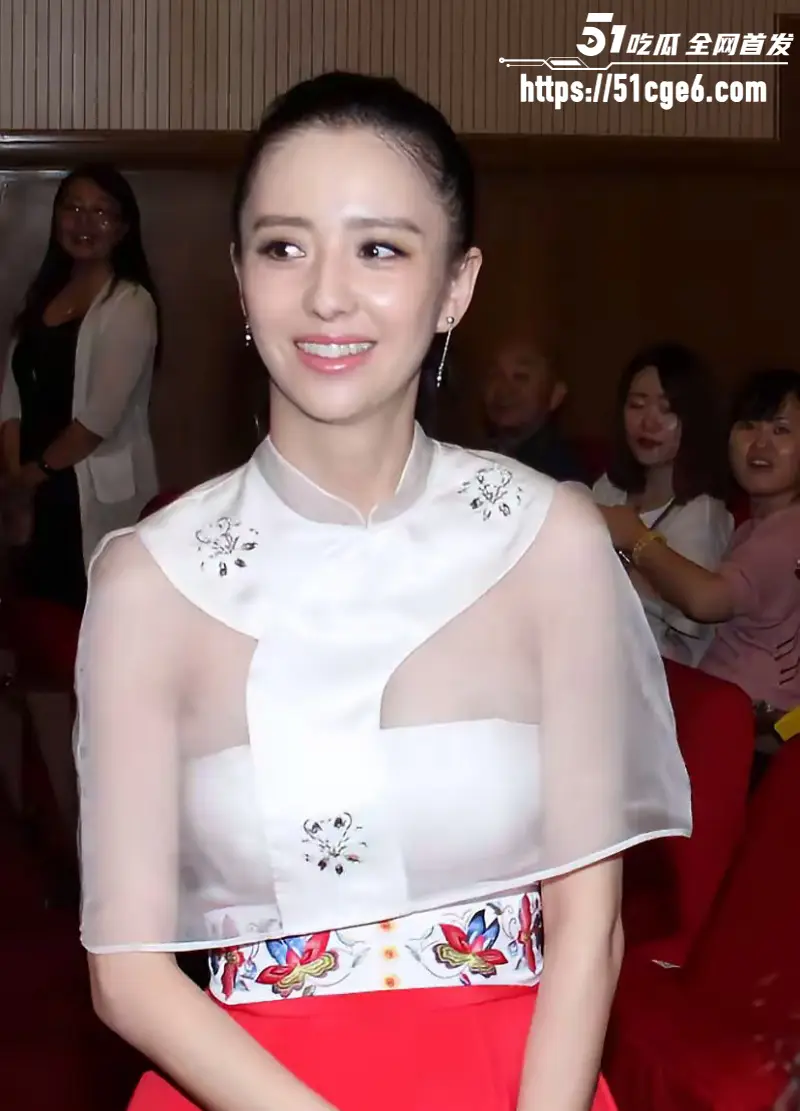 顶流女星 佟丽娅 再婚绯闻爆火 前夫陈思诚介绍神秘高官 国外生子换来泼天富贵! 图4