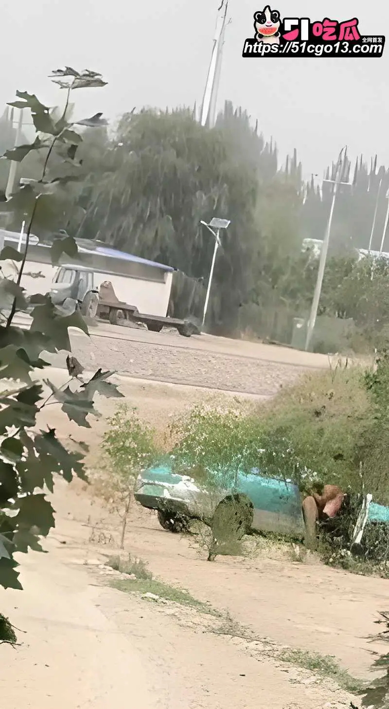 出租车野外车震惨遭偷拍 女乘客没钱付款无奈肉偿 撅臀挨操任由司机蹂躏蜜穴 图6