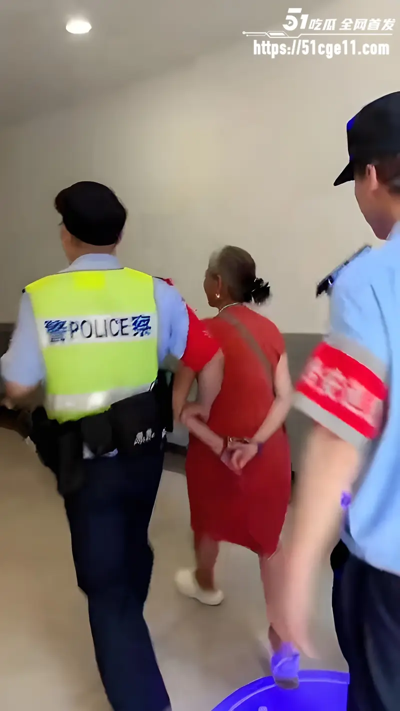 重庆南坪商圈老太太盗窃被当场逮住 究竟是坏人变老了还是老人变坏了? 图6