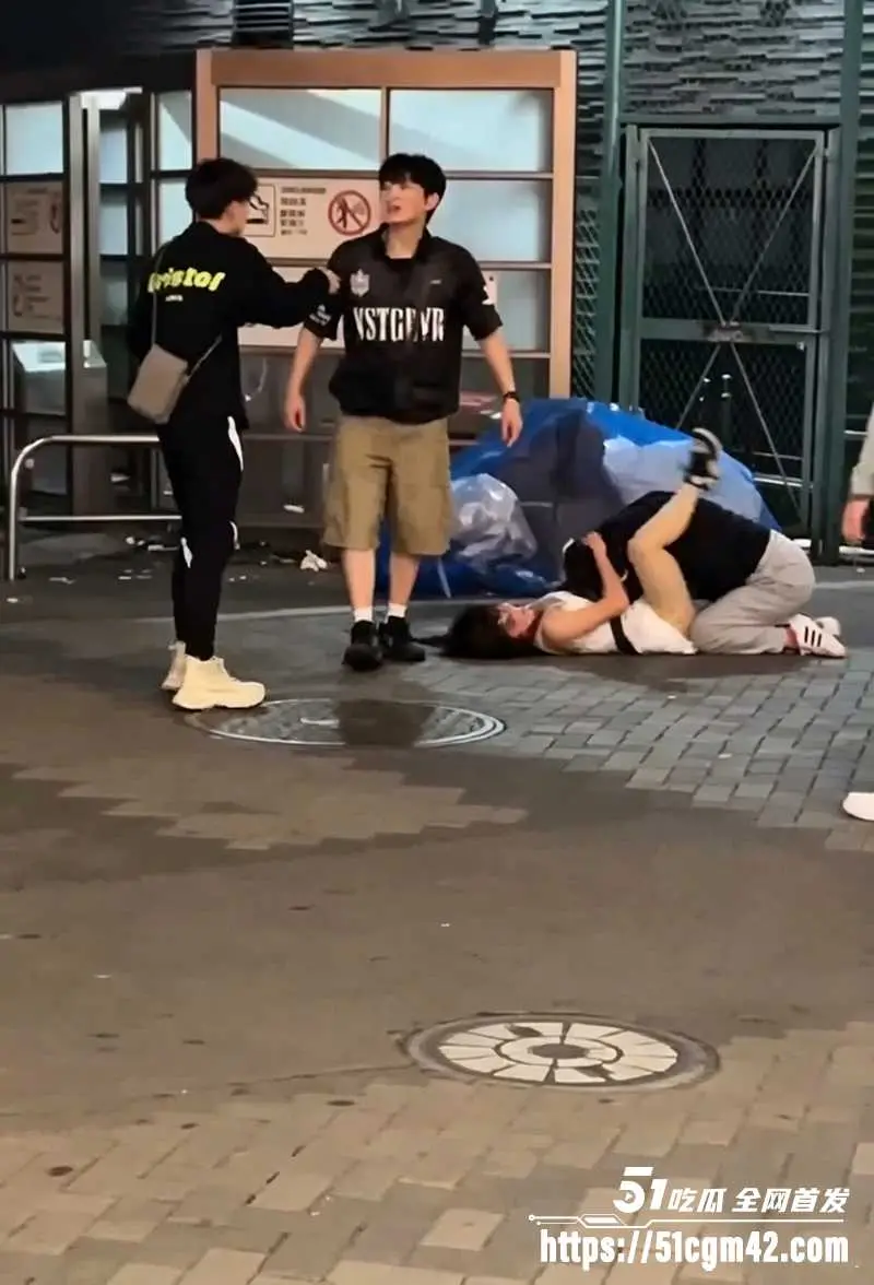 日本街拍两美女激斗互殴 白衣美女骑身狂锤 被重拳偷袭正脸KO 图4