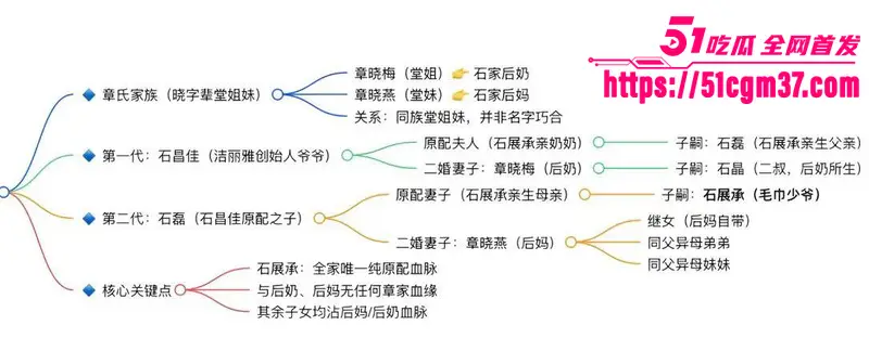 毛巾家族 洁丽雅 上演豪门乱伦盛宴 父子变连襟 婆媳变姐妹 关系错综复杂令人震惊 图10
