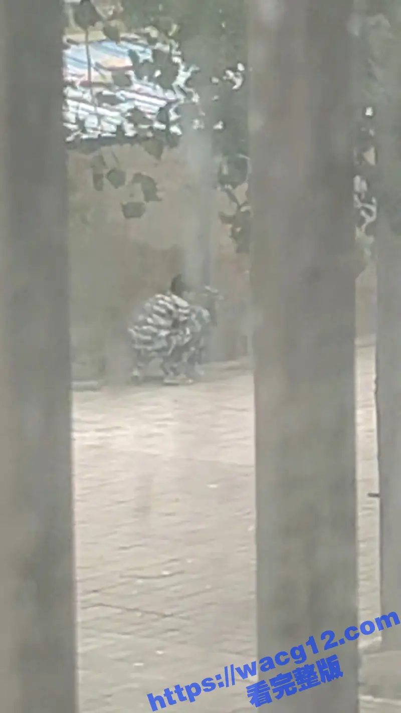 偷拍俩大学生户外偷情 还穿着迷彩服 这一看就是军训憋坏了啊 咋不找个宾馆解决呢 图9