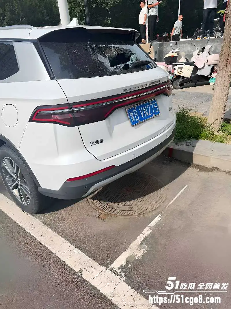 河南郑州男子无故砸车 砸完一条街后竟向特警车辆扔石头 被当场按倒疯狂抵抗 图7