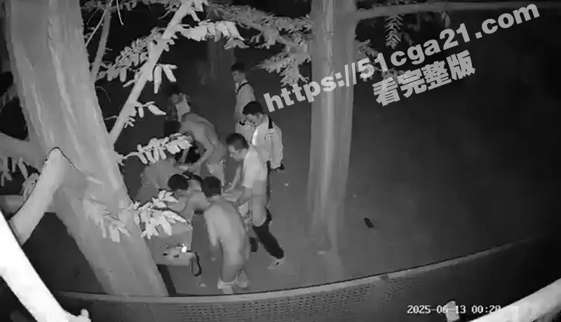 成都百花潭公园 同性恋深夜性派对大曝光 昏暗灯光下多人群P狂欢 果然是一座包容性很强的城市! 图3