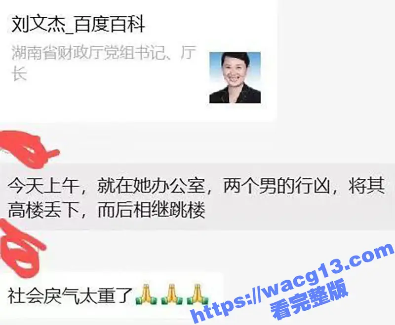 湖南省财政厅 厅长刘文杰 意外去世或涉刑案 知情人称同坠楼者 与其有工作关联 图2