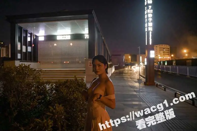 摄影师 黄S 拍摄美女户外露出 拍摄完回到宾馆 和模特床上大战三百回合 全程高清拍摄 超级刺激! 图3