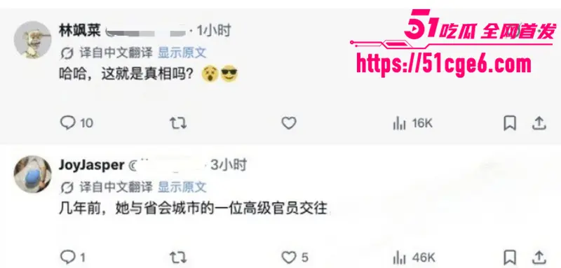 顶流女星 佟丽娅 再婚绯闻爆火 前夫陈思诚介绍神秘高官 国外生子换来泼天富贵! 图20