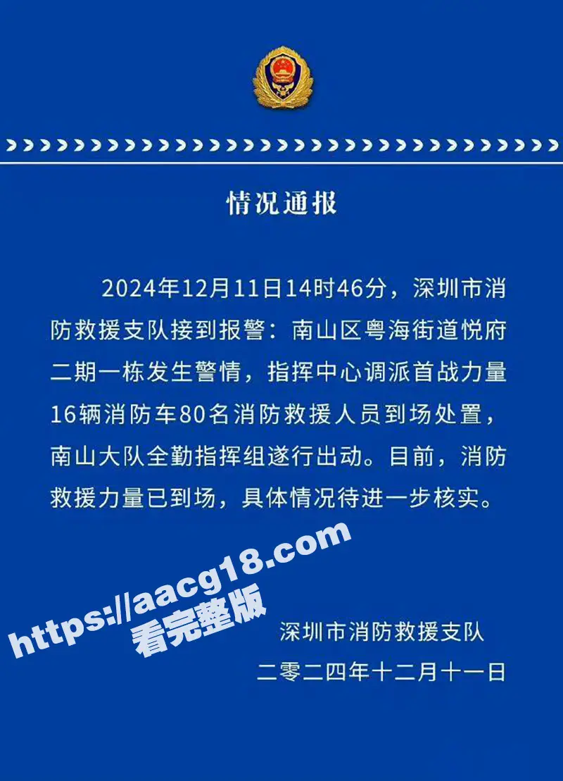 深圳湾悦府二期燃气爆炸!女子无法忍受被痛苦烧死 万般无奈之下选择跳楼求死!现场坠楼视频流出 图1