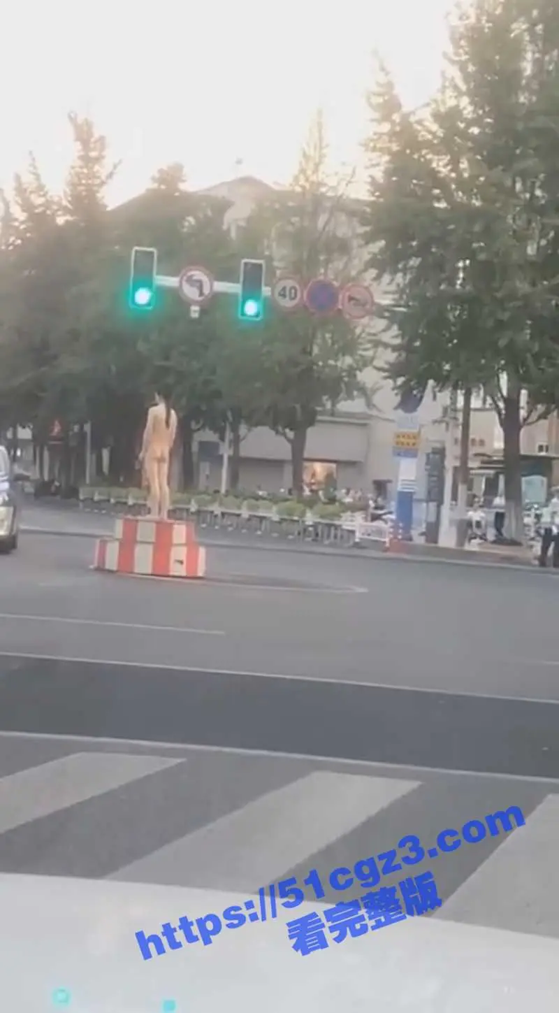 辽宁沈阳大马路上惊现裸女 站交警台上指挥交通 全裸露出疑似主人任务 大冬天的不冷吗姐妹 图4