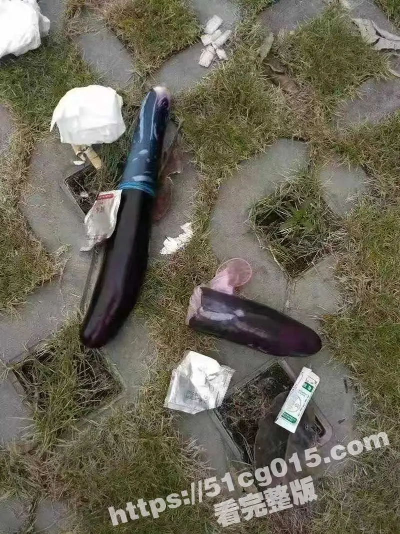 妇女之宝 茄子 的正确使用方法！注意一定要科学使用 否则很容易取不出来！ 图1