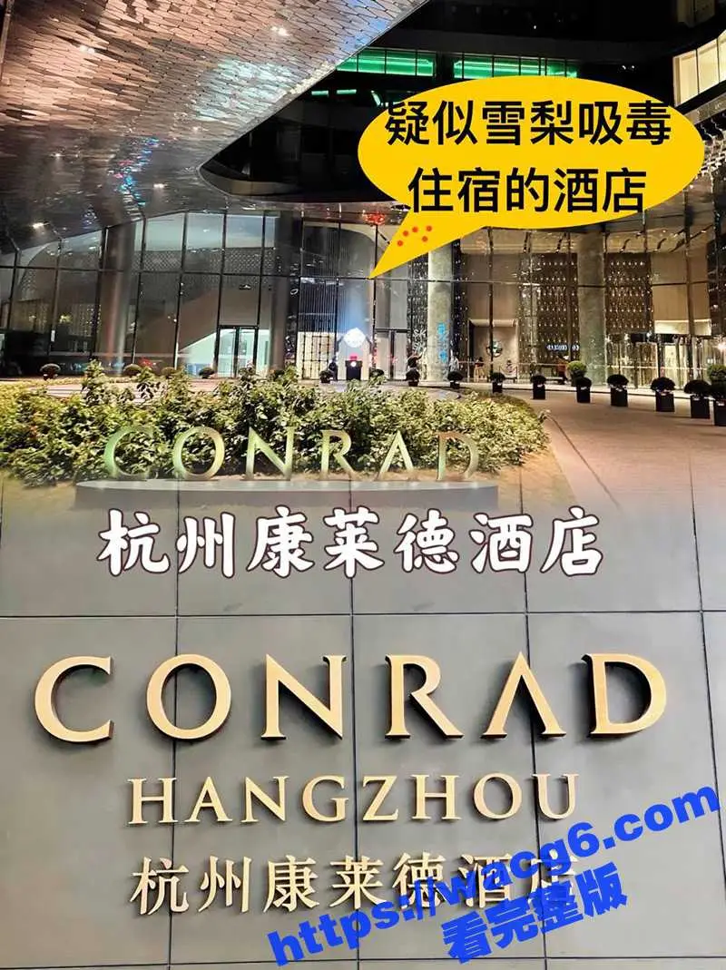 惊天大瓜!王思聪前女友雪梨嗑药被爆光 王思聪其实是双向恋 其私生子闪闪是来掩盖他的不孕不育! 图11