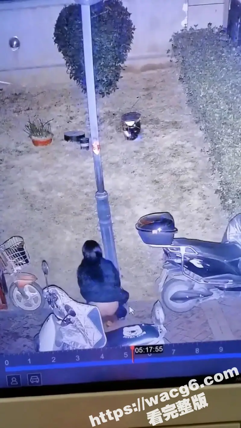 翘臀小妹小区当众排便 还用旁边车衣擦屁股 看样子还是个少女 身材也挺不错的 玩的这么脏么 图2