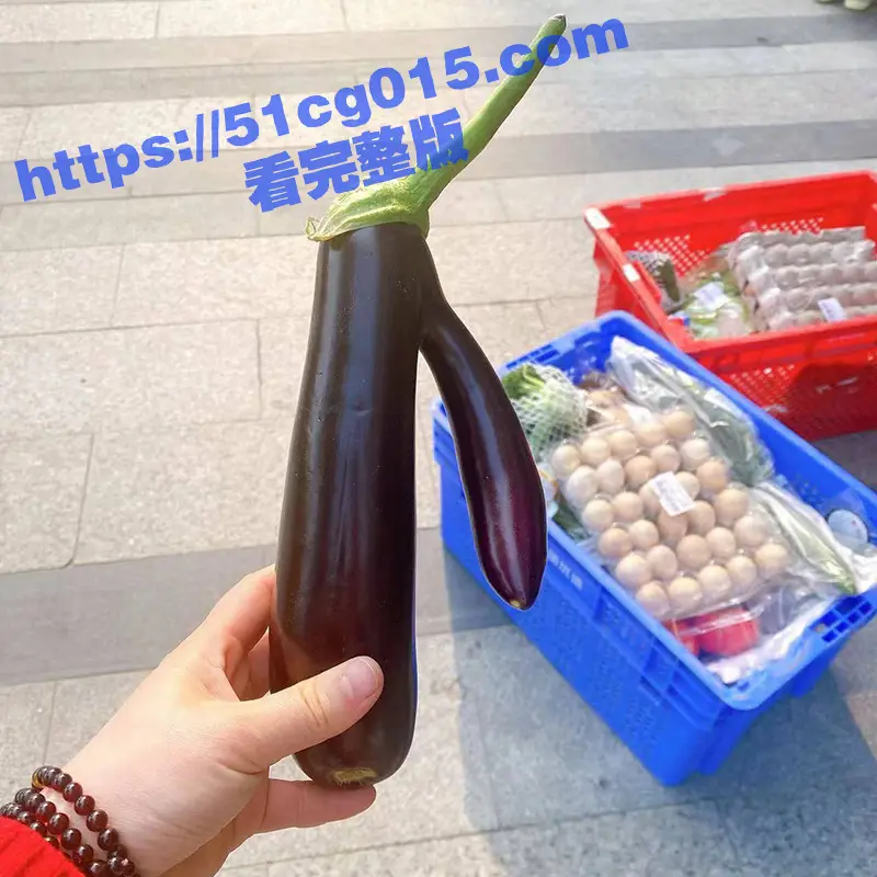 妇女之宝 茄子 的正确使用方法！注意一定要科学使用 否则很容易取不出来！ 图4