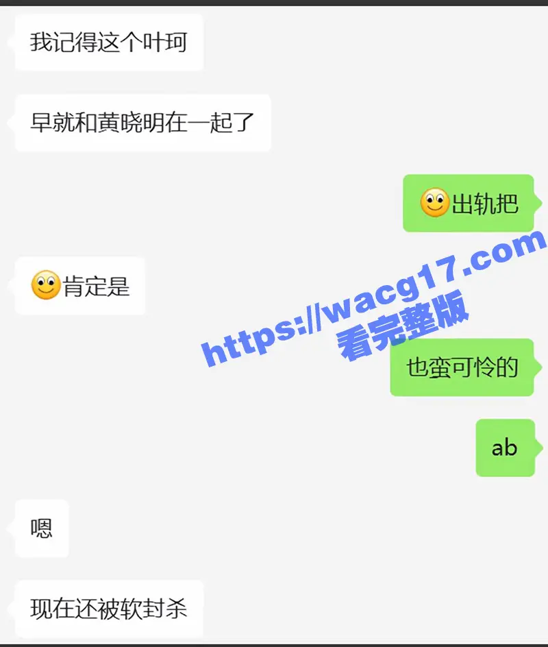 黄晓明新欢叶珂惊曝出身名媛班!前夫揭秘内幕聊骚其兄弟聊天记录曝光 铁证如山!出轨视频流出! 图13