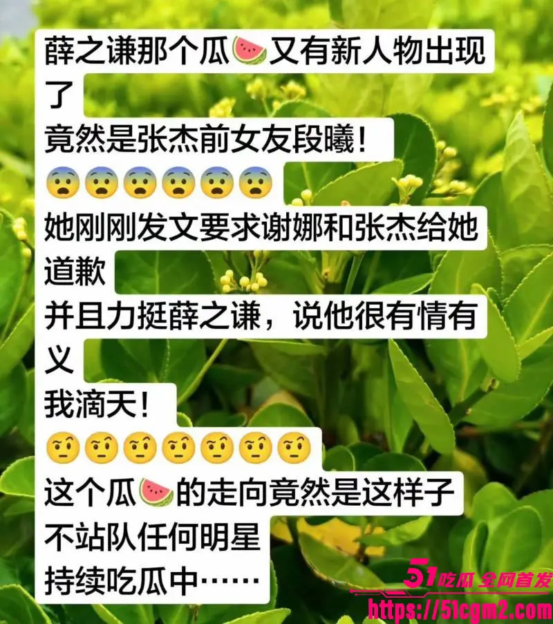 谢娜长文怒怼薛之谦 段曦火速下场反击 爆出当年厕所激战视频 昔日恩怨彻底撕破脸 热搜霸榜！ 图19