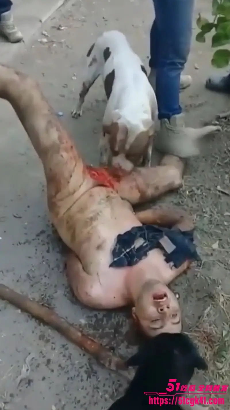 墨西哥猎奇事件!30岁裸男性侵遭黑帮私刑 斗牛犬生吞生殖器 血腥惨叫震天 胆小瓜友慎入! 图2