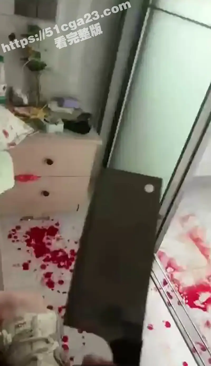 男子持刀砍妻并自拍视频记录 刀刀入肉 多处伤口血流满地 简直惨无人道!胆小瓜友勿入! 图1