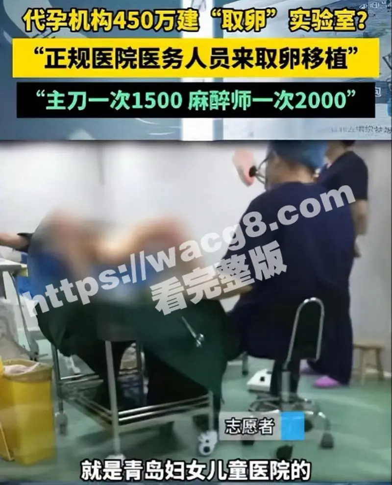 青岛汽贸城代孕实验室被曝光 把人当牲口明码标价75万一个包生包成 不知动了谁的蛋糕现在热度被压下 图5