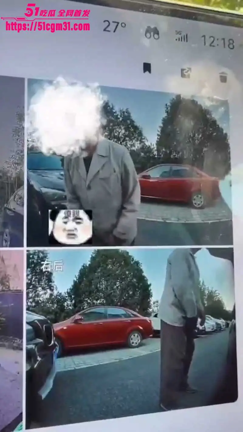 北京昌平 79岁大爷三次猥亵小米汽车 女车主崩溃报警 罚2000了事奇葩至极! 图2