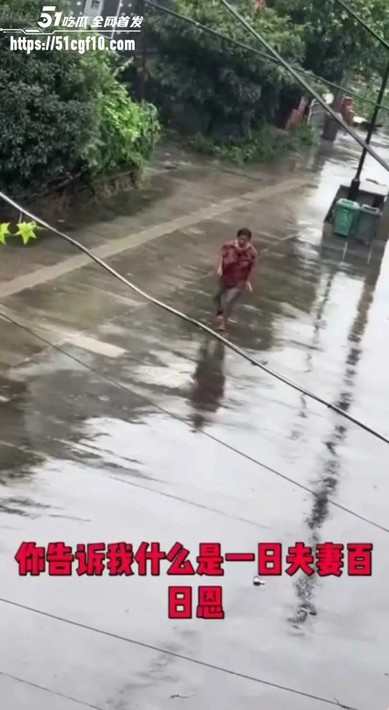 浙江白发老登 雨中持刀企图杀妻 这就是世人口中的爱情? 图4