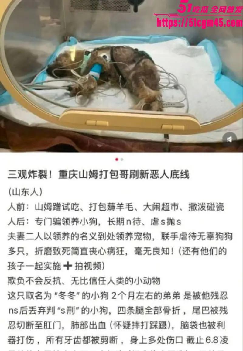 重庆山姆打包哥 李萌 领养小狗残忍虐杀致死 夫妻剪牙断尾骨折抛尸丧心病狂! 图2