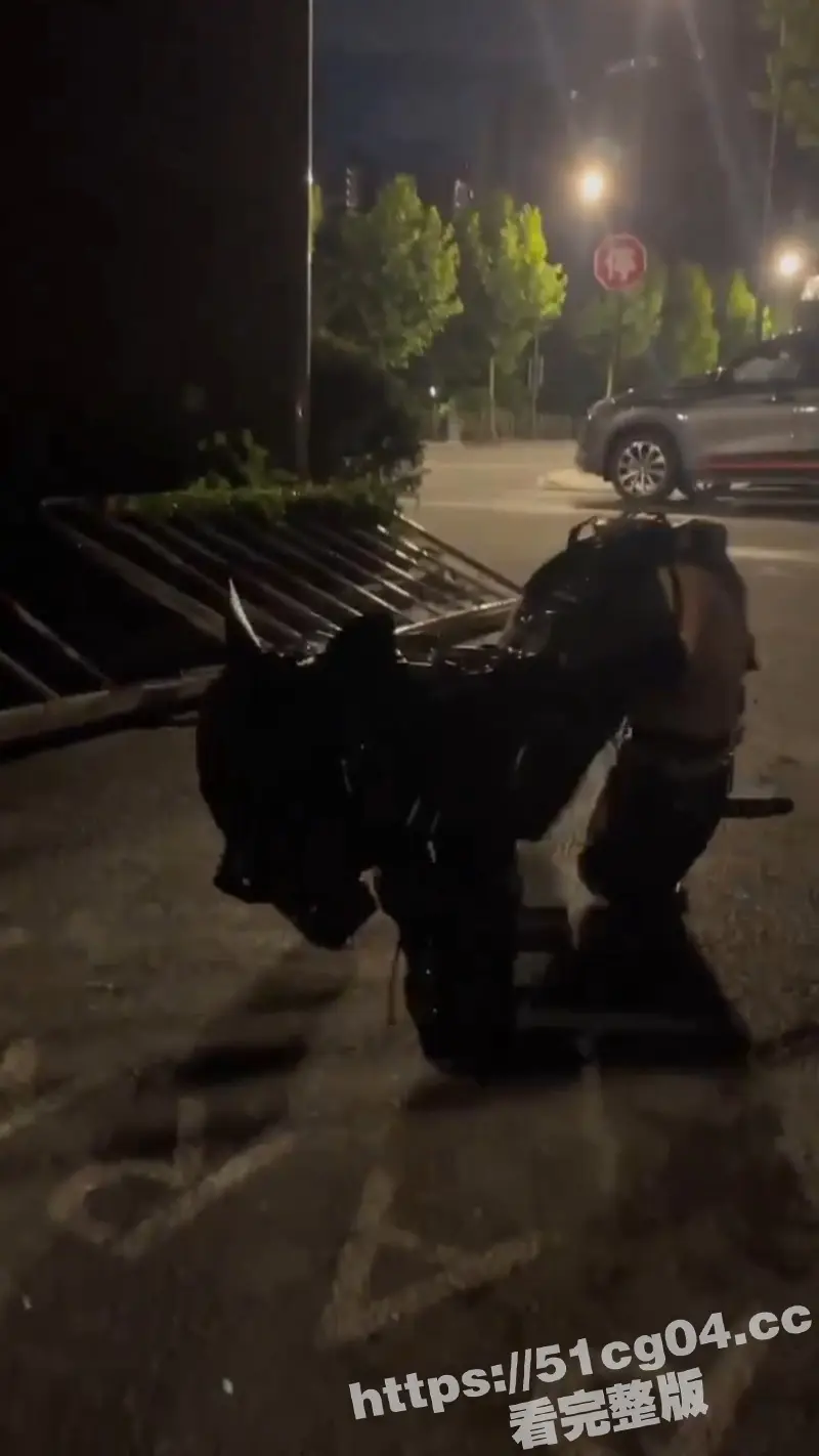 实拍顶级母狗 被主人绑成人型犬 夜晚被主人牵着户外遛狗 母狗身材不错 中国人都玩这么花花了么 图2