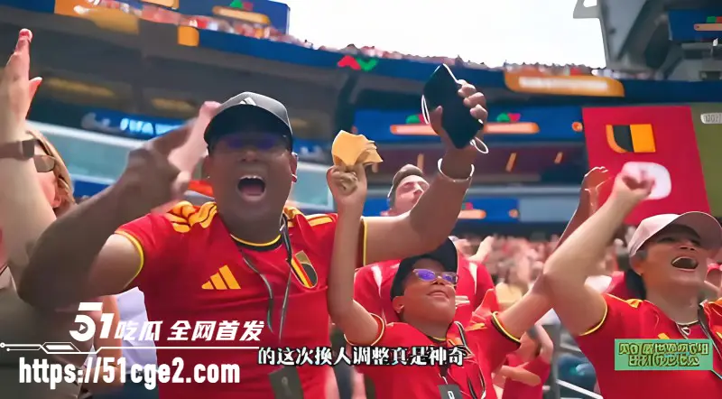 世界杯小组赛G组第1轮 比利时埃及一比一战平 卢卡库替补出场仅22秒 迫使哈尼自摆乌龙！ 图5