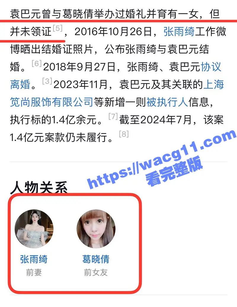 张雨绮又上热搜!被袁巴元前妻葛晓倩怒斥当年小三上位 趁其出差时登堂入室 并把出轨做爱监控视频曝光全网! 图11