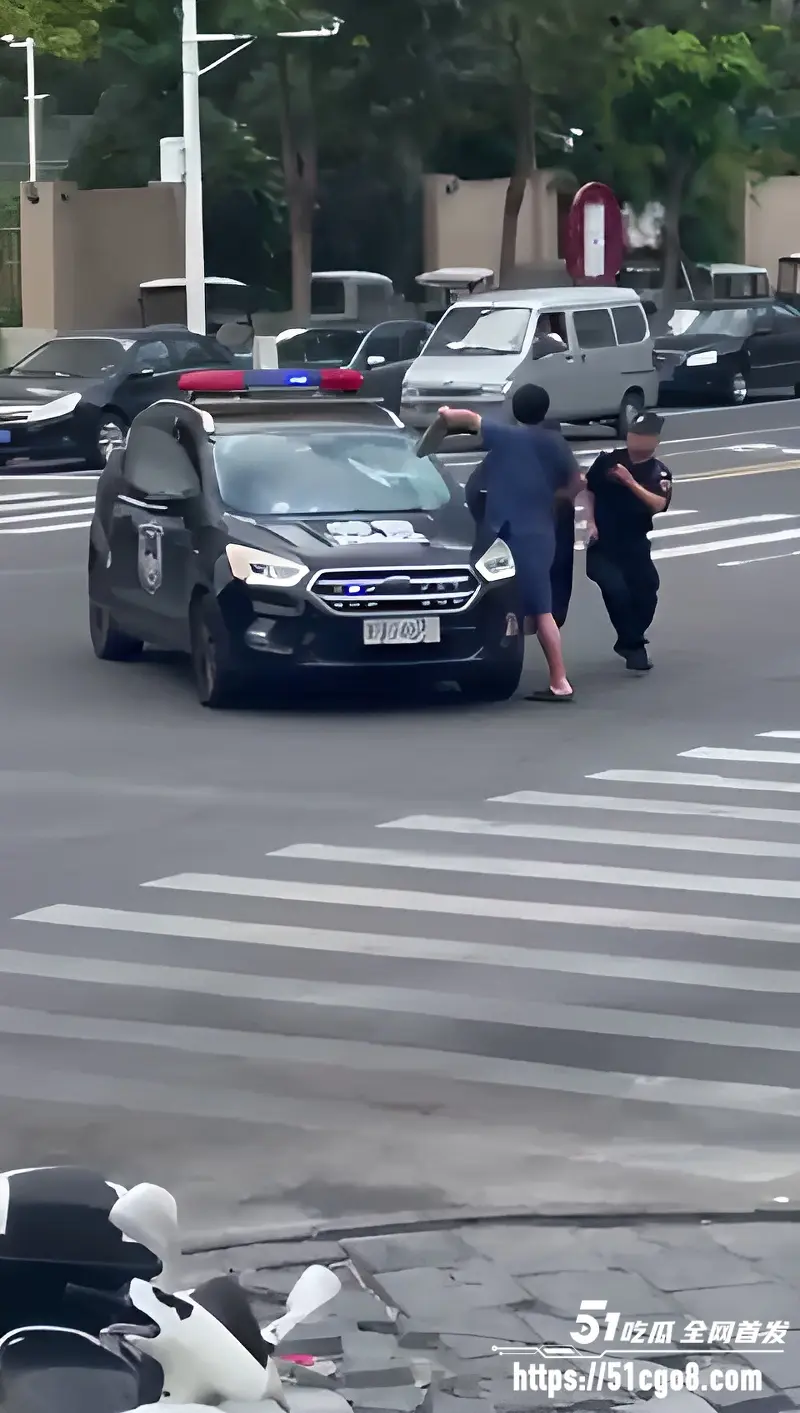 河南郑州男子无故砸车 砸完一条街后竟向特警车辆扔石头 被当场按倒疯狂抵抗 图2
