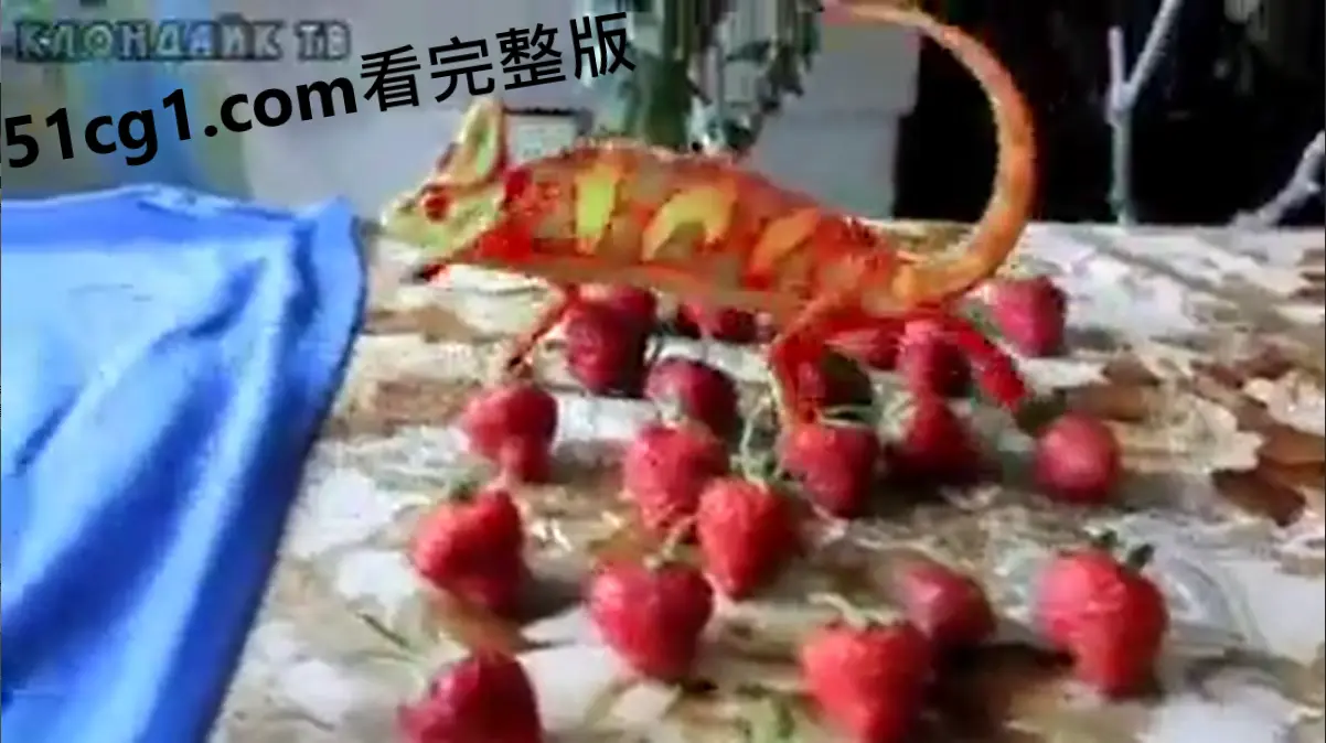 #变色龙 #奇趣生物 图1
