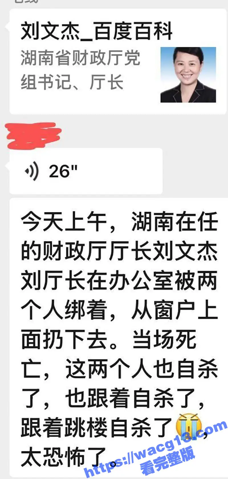 湖南省财政厅 厅长刘文杰 意外去世或涉刑案 知情人称同坠楼者 与其有工作关联 图3