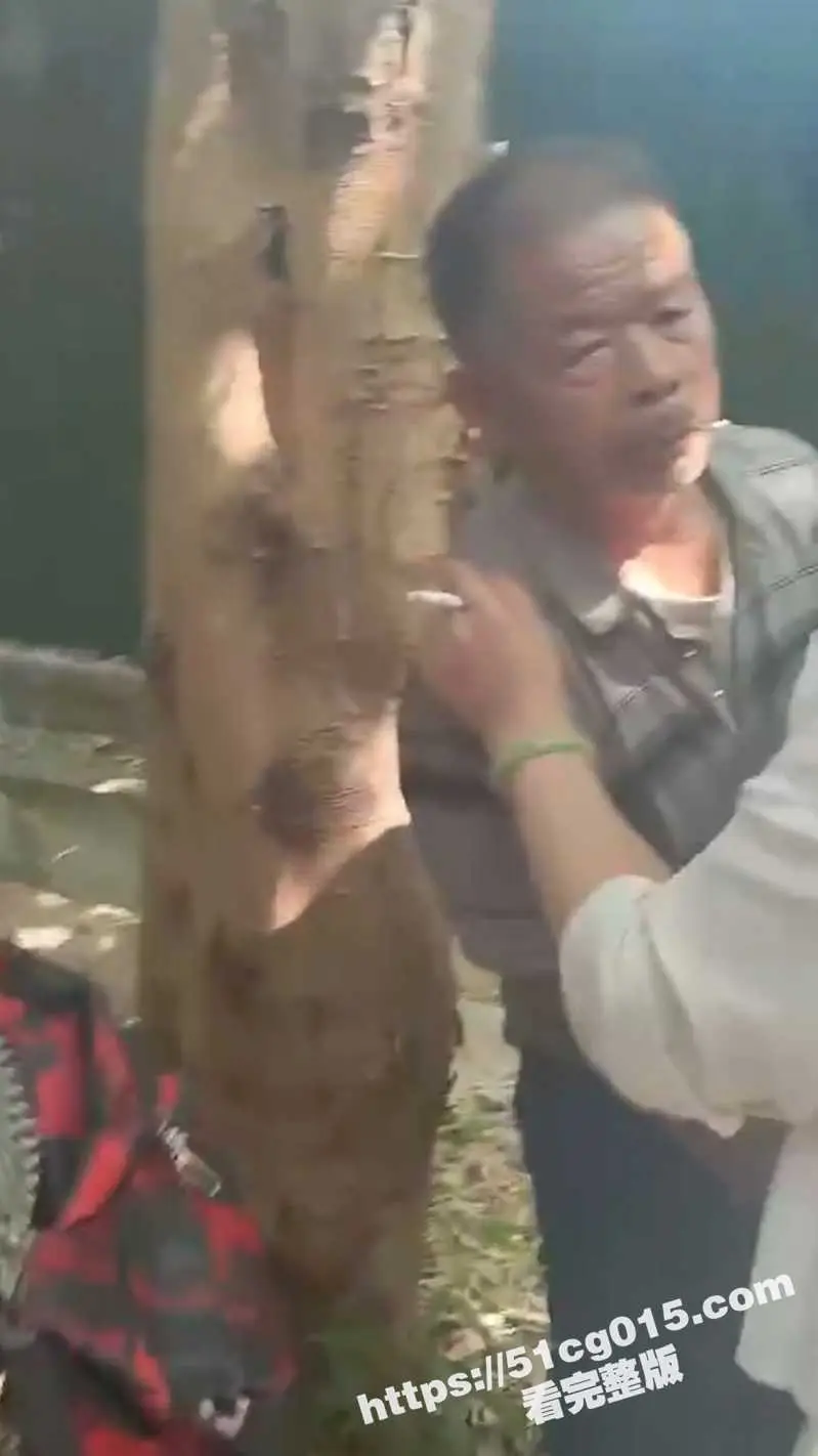 老年娱乐场所 小树林爱情故事 看大爷大妈吓的都不好意思了! 图4