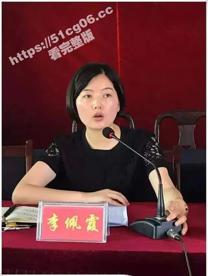 江西县委书记毛奇遭举报性侵 受害美女乡官李佩霞反遭带走留罪证USB「保命」有片 图15