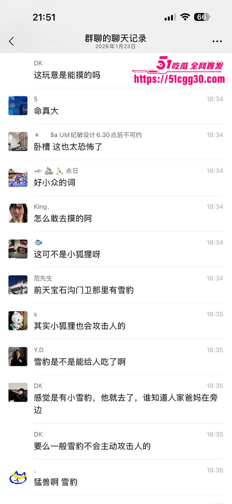 新疆可可托海 雪豹伤人现场视频流出 滑雪妹子瞬间被扑倒 头盔挡住致命一咬! 图11