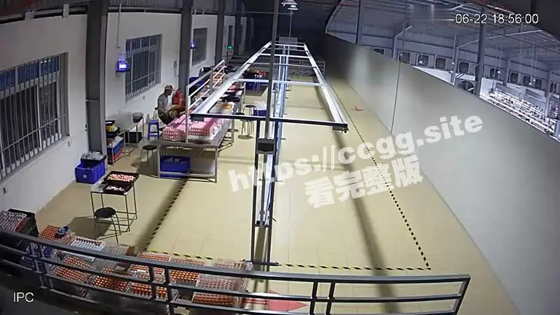流水线早泄主管 潜规则厂妹监控流出 3秒完成内射后一本正经假装工作 图1